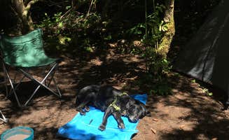 Johanna K.'s photo at Abalone Campground — Sue-meg State Park near Essex, CA