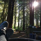 Review photo of Elk Prairie Campground — Prairie Creek Redwoods State Park by Johanna K., July 10, 2018