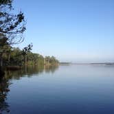 Review photo of Fred Gannon Rocky Bayou State Park by Kim B., July 10, 2018