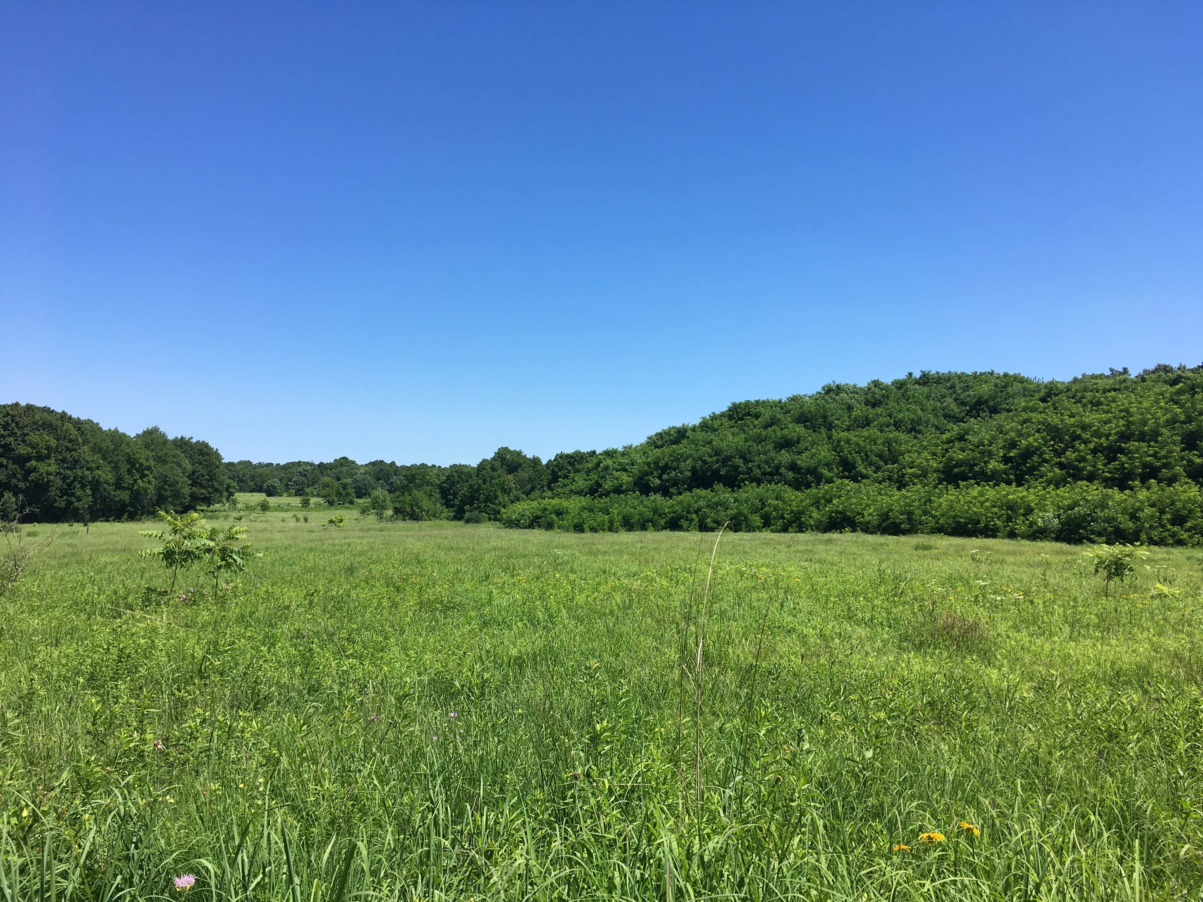 Camper-submitted photo at Lake Kegonsa State Park Campground near Milton, WI