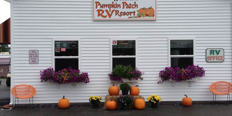 Camper submitted image from Pumpkin Patch RV Resort