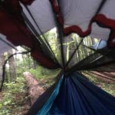 Review photo of Unicoi State Park & Lodge by Katie H., July 10, 2018