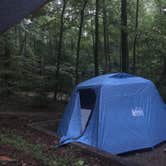 Review photo of Unicoi State Park & Lodge by Katie H., July 10, 2018