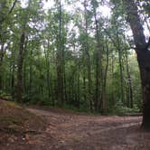 Review photo of Unicoi State Park & Lodge by Katie H., July 10, 2018