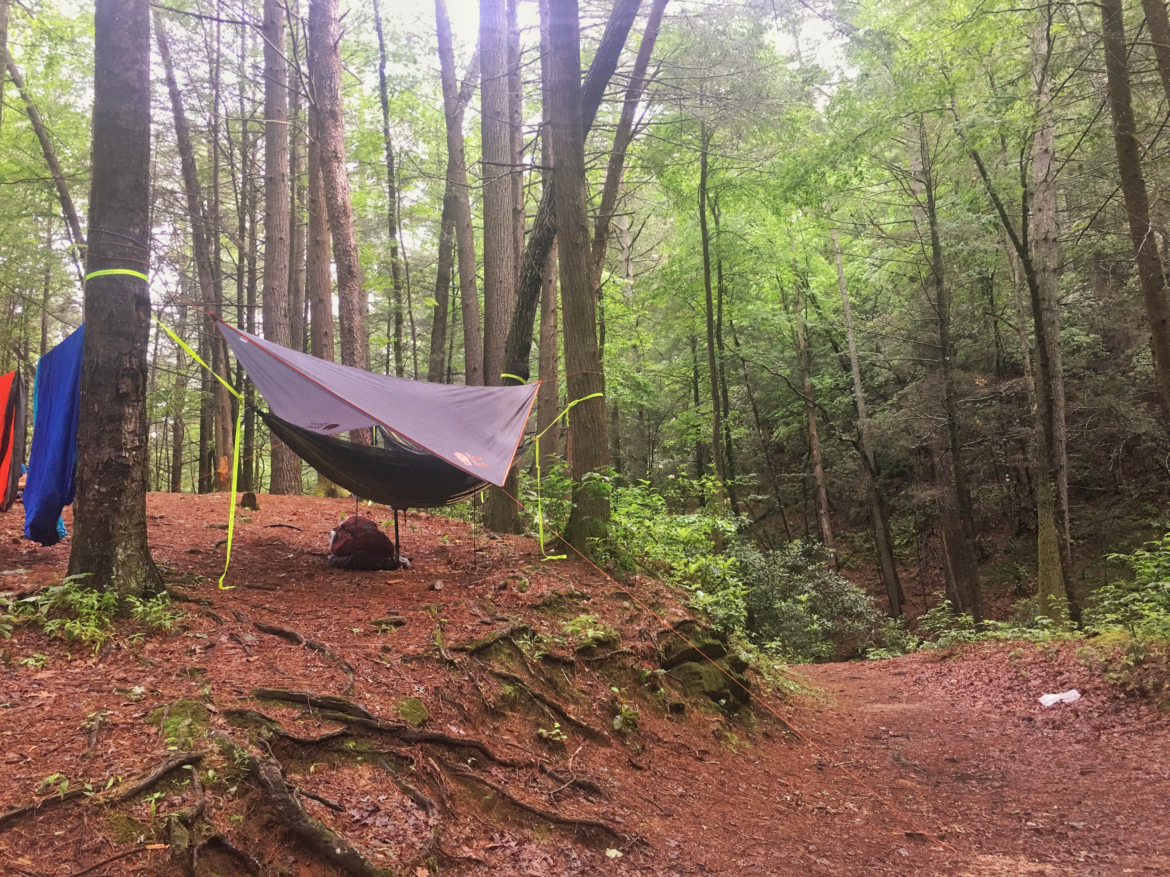 Katie H.'s photo at Raven Cliff Falls in Georgia