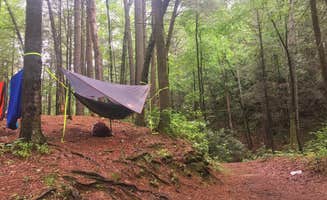 Katie H.'s photo at Raven Cliff Falls in Georgia