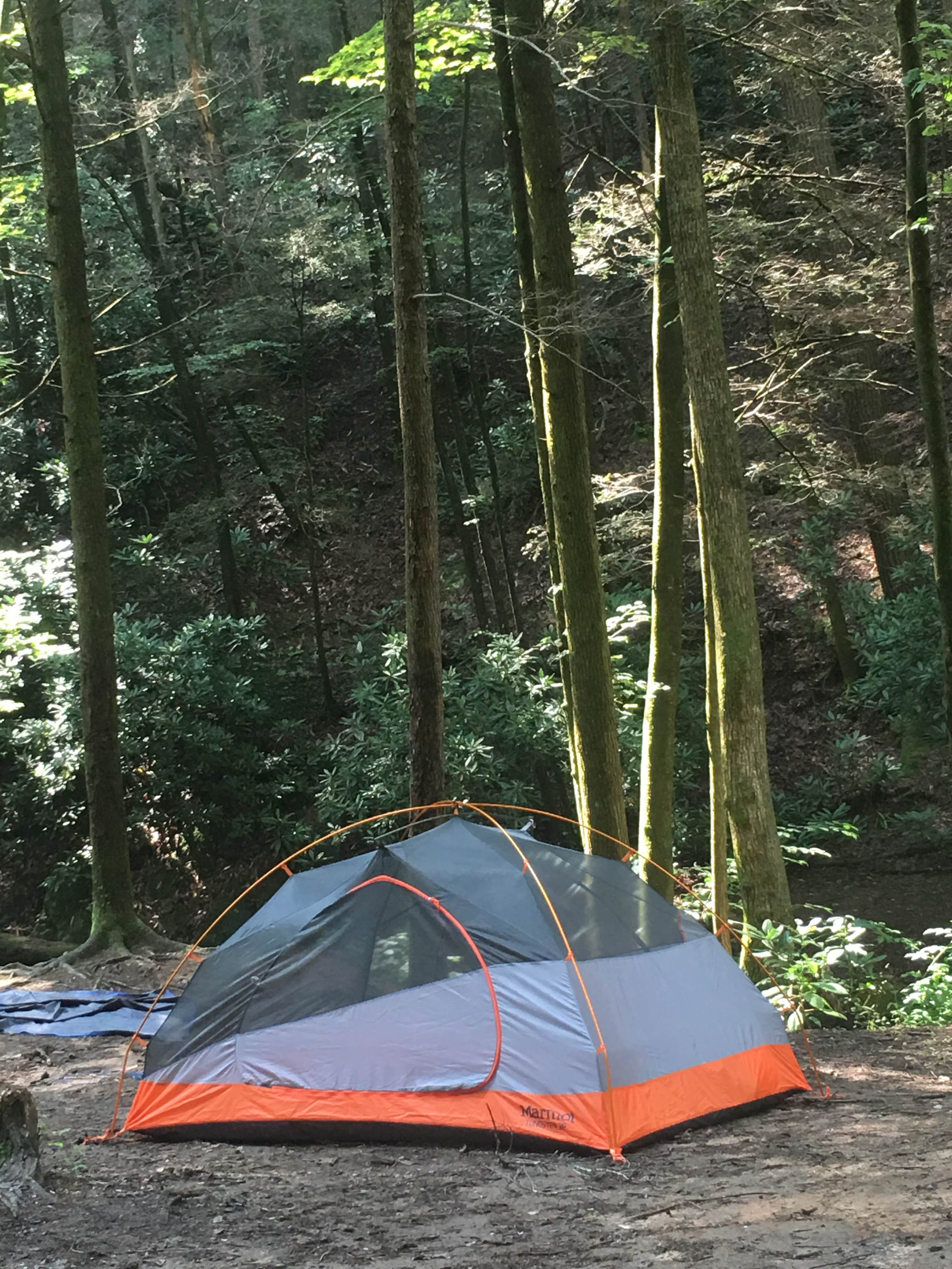 Katie H.'s photo of tent camping at Raven Cliff Falls near Murphy, NC