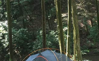 Katie H.'s photo of tent camping at Raven Cliff Falls in Georgia