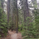 Review photo of Upper Jamison Creek Campground — Plumas-Eureka State Park by R.  K., July 10, 2018