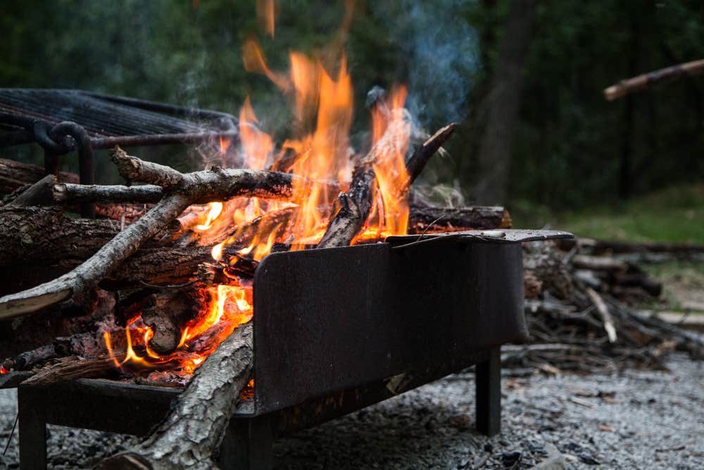Camper submitted image from Coon Creek (IL) - 4