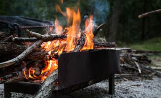 Meg S.'s photo at Coon Creek (IL) near Lake Shelbyville