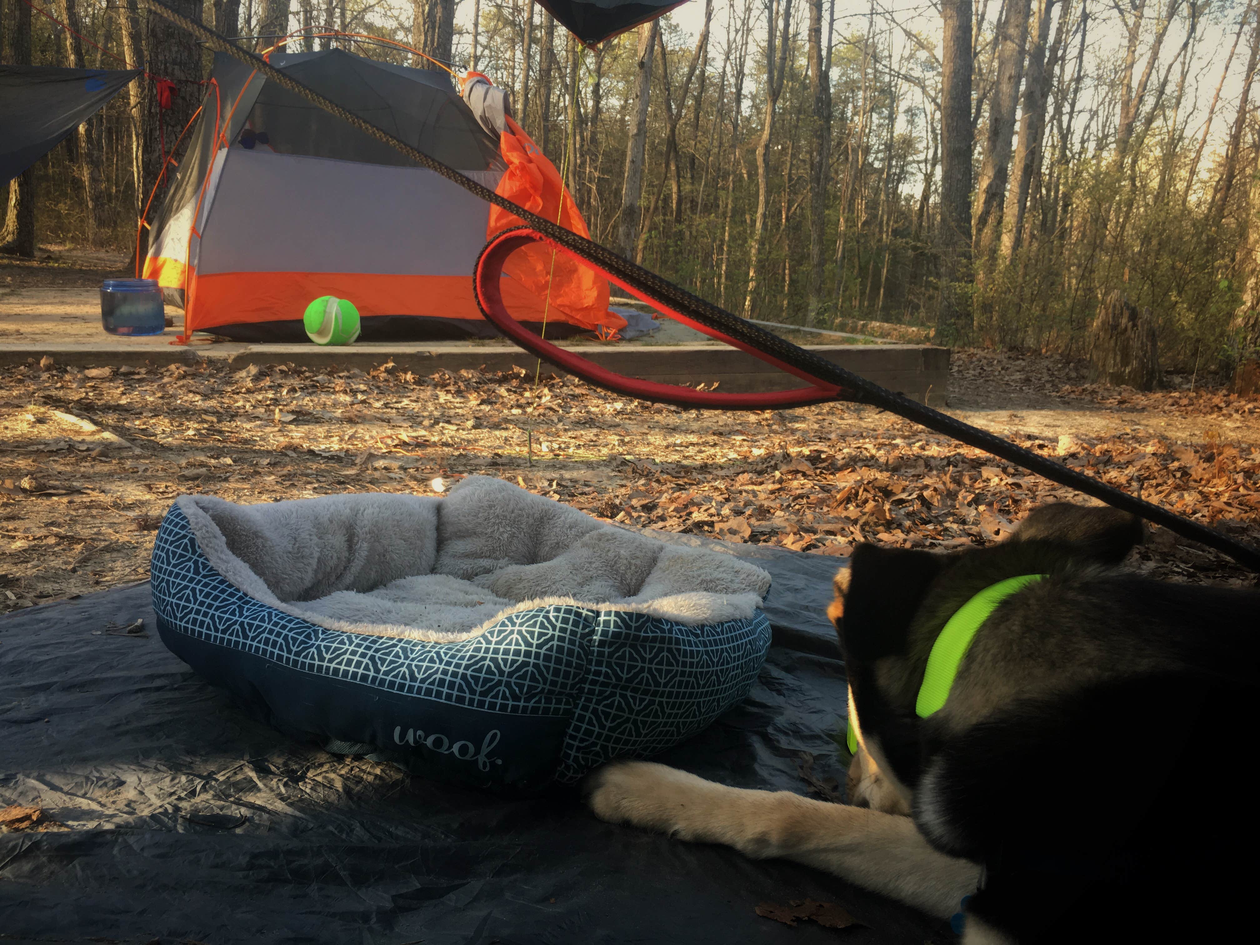 Katie H.'s photo at Cloudland Canyon State Park Campground near Trenton, GA