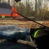 Review photo of Cloudland Canyon State Park Campground by Katie H., July 10, 2018
