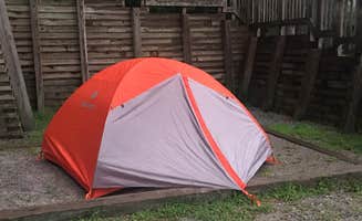 Katie H.'s photo at Amicalola Falls State Park Camping near Chattahoochee-Oconee National Forest