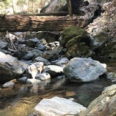 Review photo of Sugarloaf Ridge State Park Campground by Isabel  B., July 10, 2018