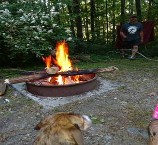 Camper-submitted photo from Rudd Pond Area — Taconic State Park