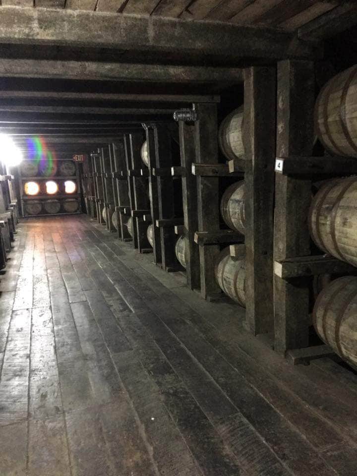 Camper-submitted photo at White Acres Campground near Frankfort, KY