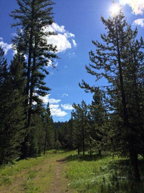 Nature