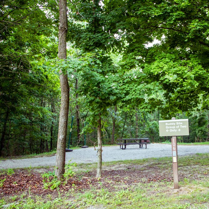 Coon Creek (IL) Camping The Dyrt