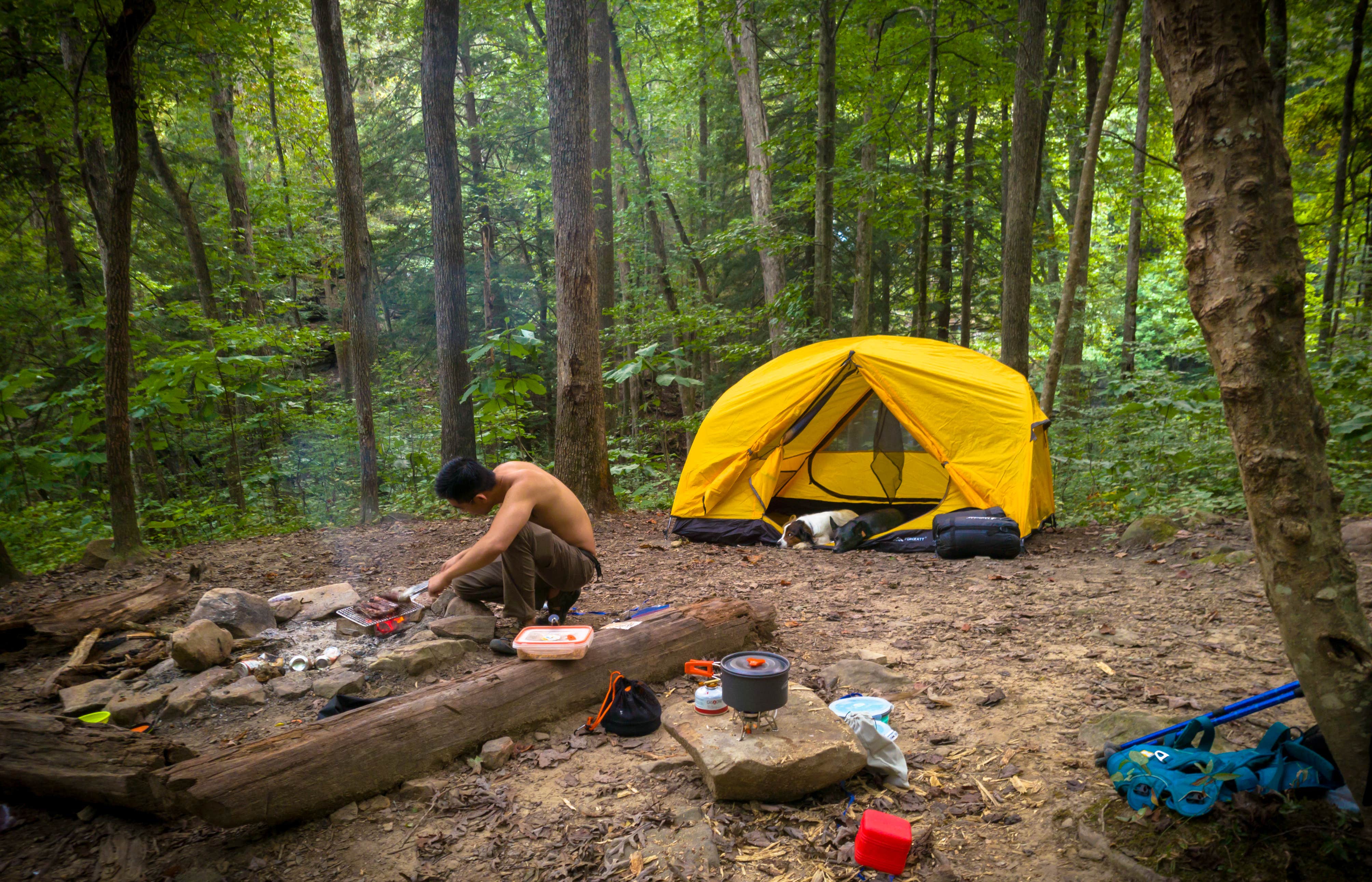 Elisa T.'s photo at Virgin Falls State Natural Area - Primitive near Spring City, TN