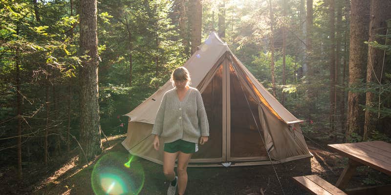 Camper submitted image from Four Acre Woods Campground