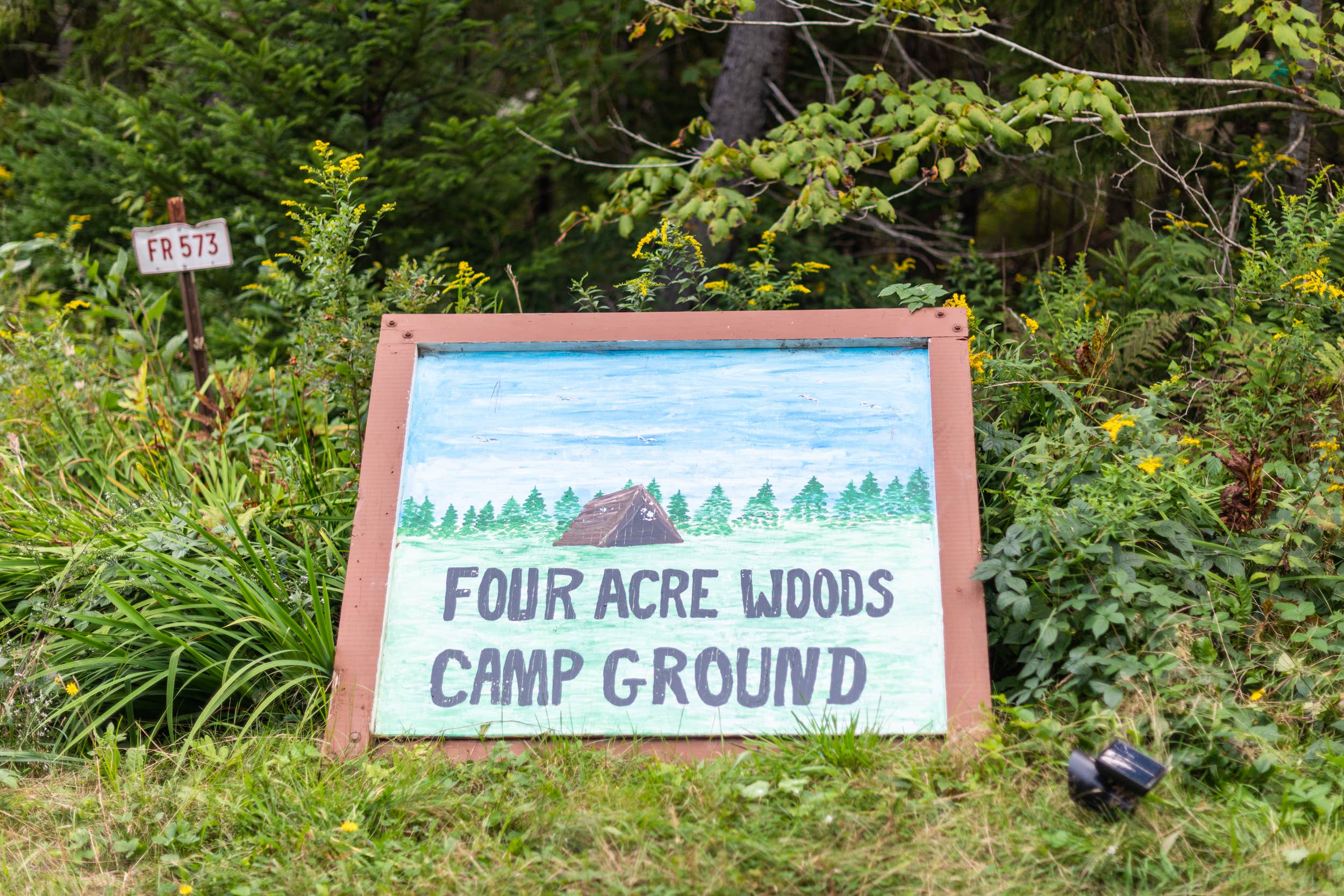 Camper-submitted photo at Four Acre Woods Campground near Vinalhaven, ME