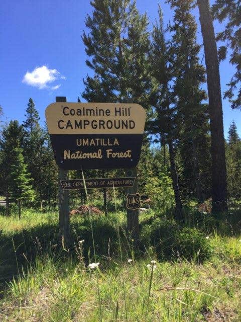Signs & Maps