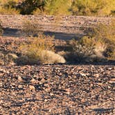 Review photo of Plamosa BLM Dispersed Camping Area by RvNaut , February 9, 2022