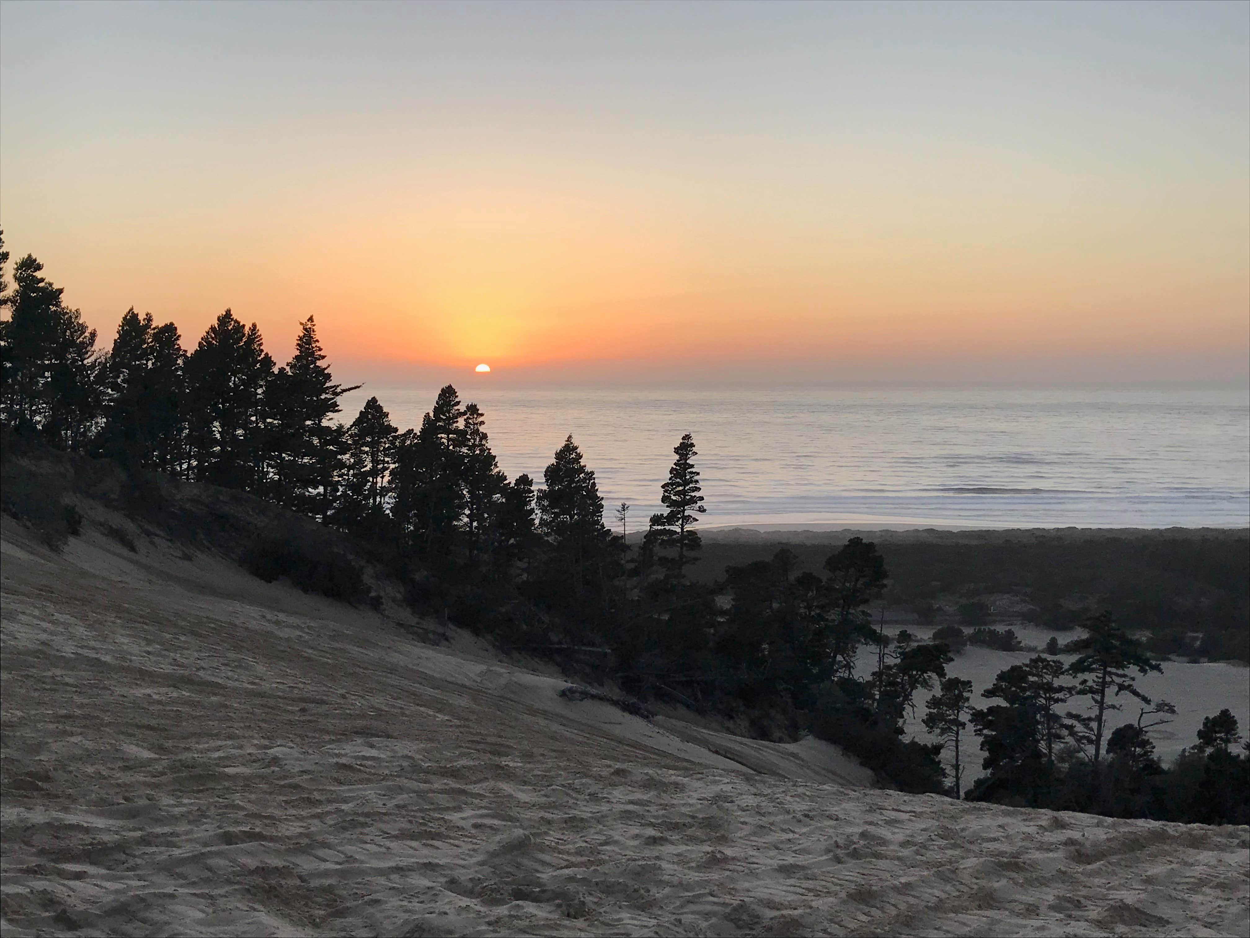 Camper-submitted photo at Half Moon Bay Campground near Reedsport, OR