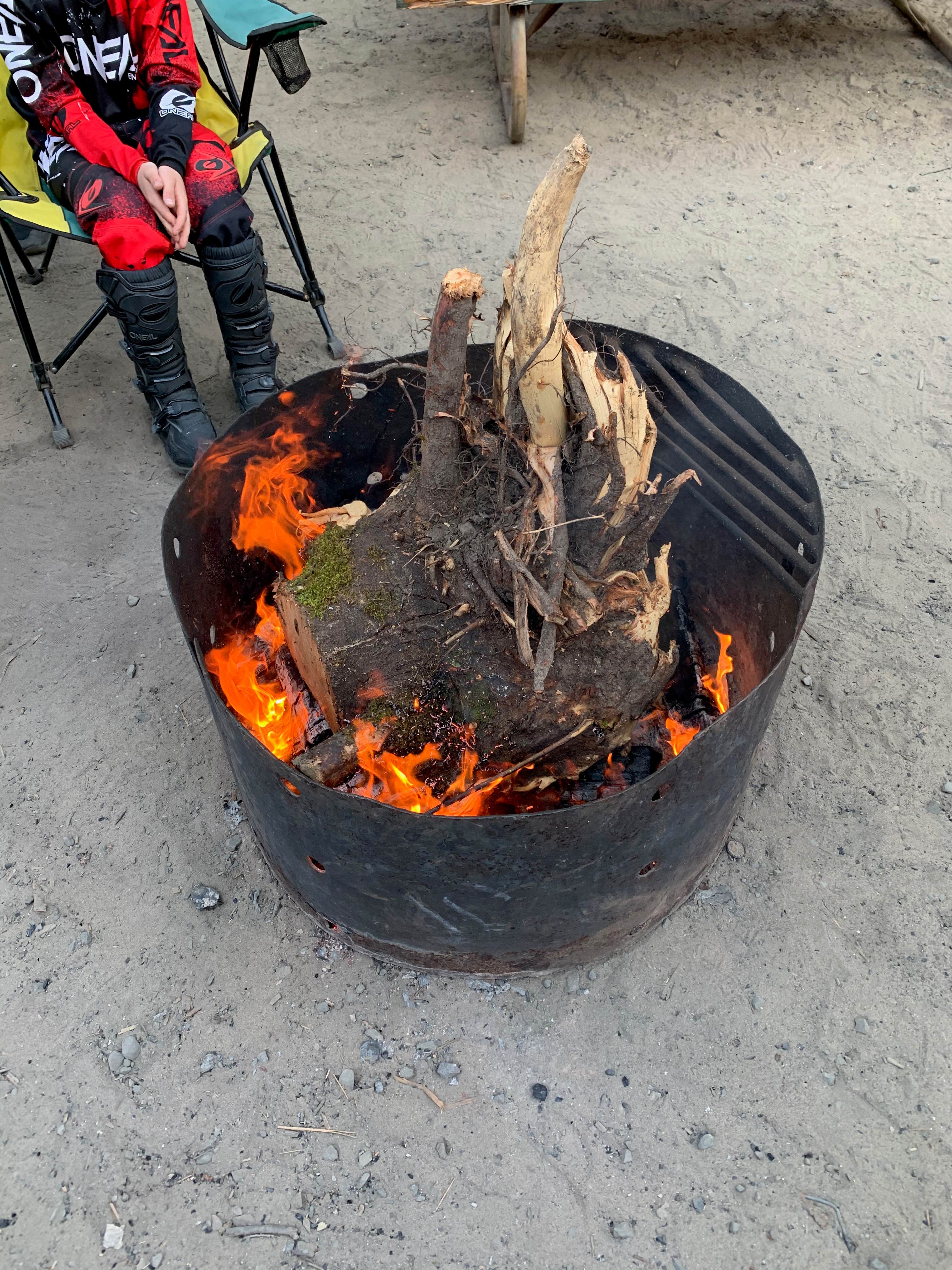 Camping near Winchester Bay RV Resort: Half Moon Bay Campground, Reedsport, Oregon