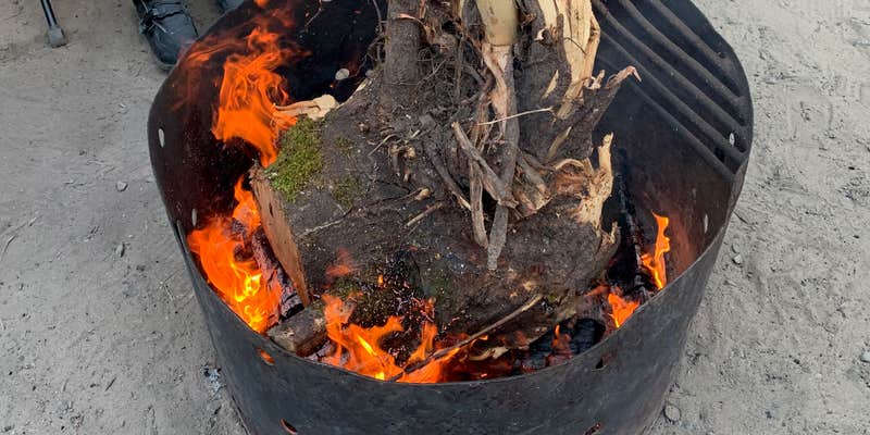 Camper submitted image from Half Moon Bay Campground