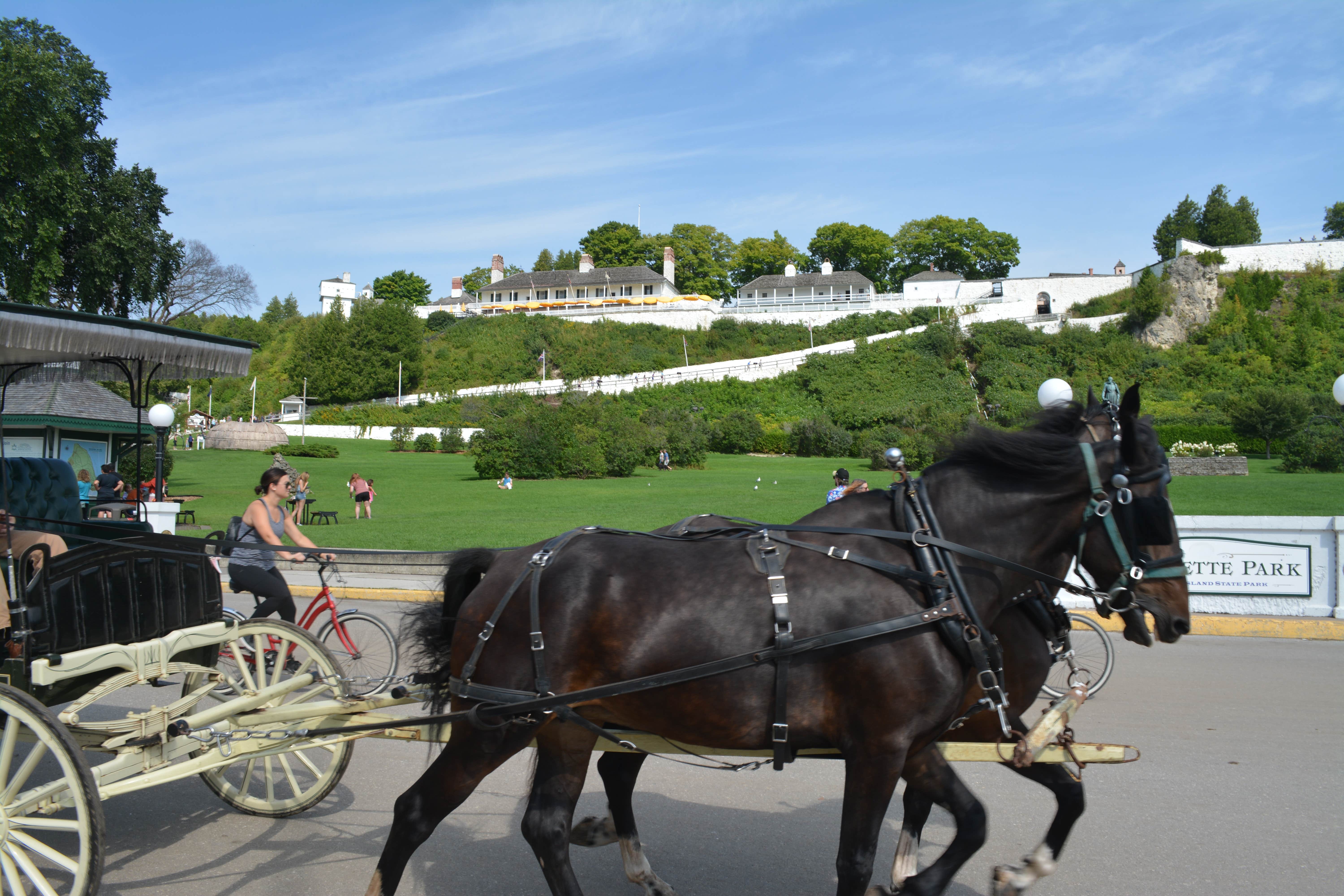 Camper-submitted photo at Petoskey KOA near Gaylord, MI