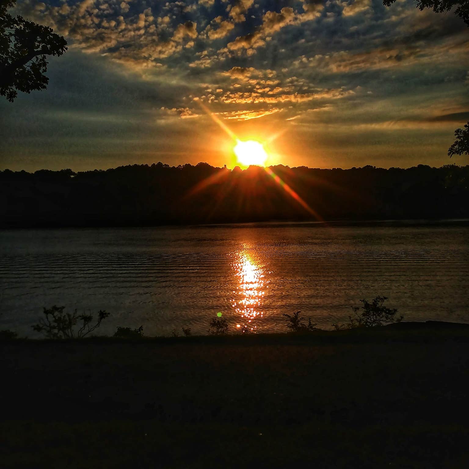 Camper submitted image from Narrows (AR) - 4