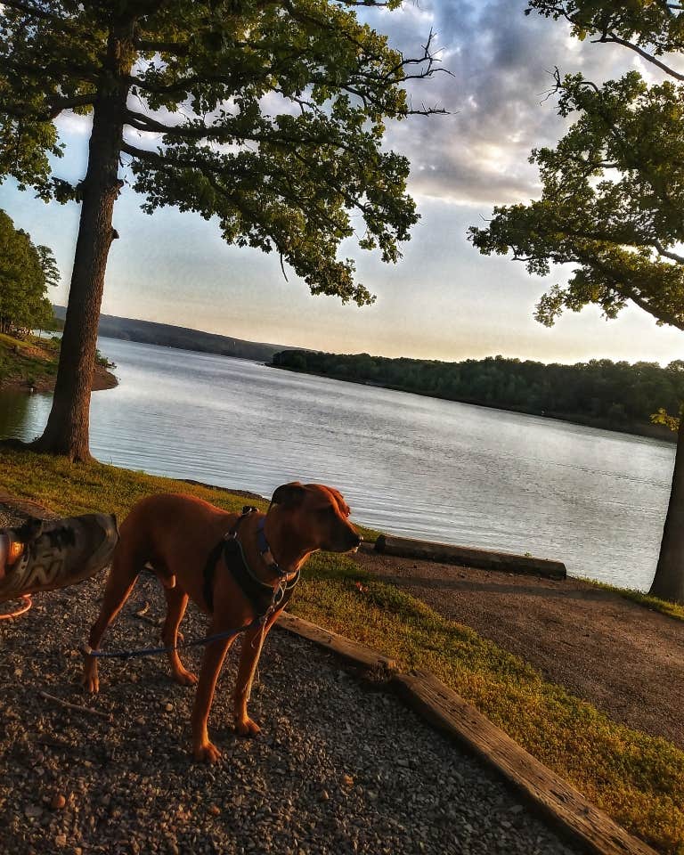 Ashley G.'s photo of camping with pets at Narrows (AR) near Batesville, AR