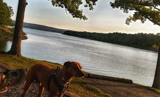 Ashley G.'s photo of camping with pets at Narrows (AR) near Greers Ferry Lake