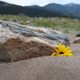 Review photo of Pinon Flats Campground — Great Sand Dunes National Park by Brantly R., February 9, 2022
