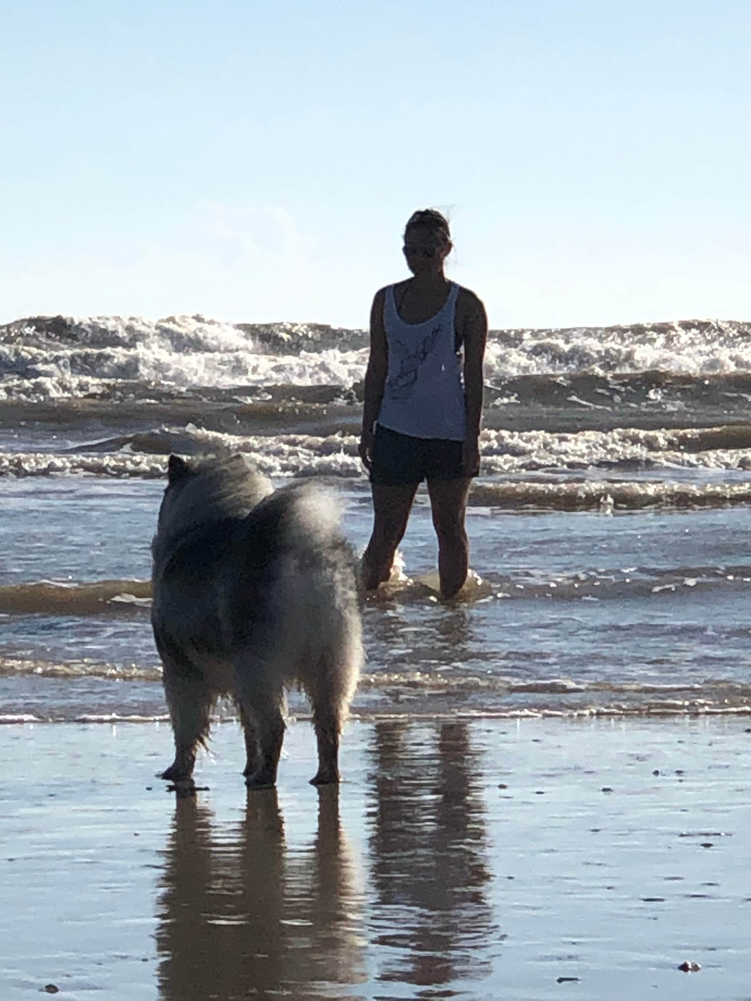 Camper submitted image from Matagorda Beach Dispersed Camping - 4