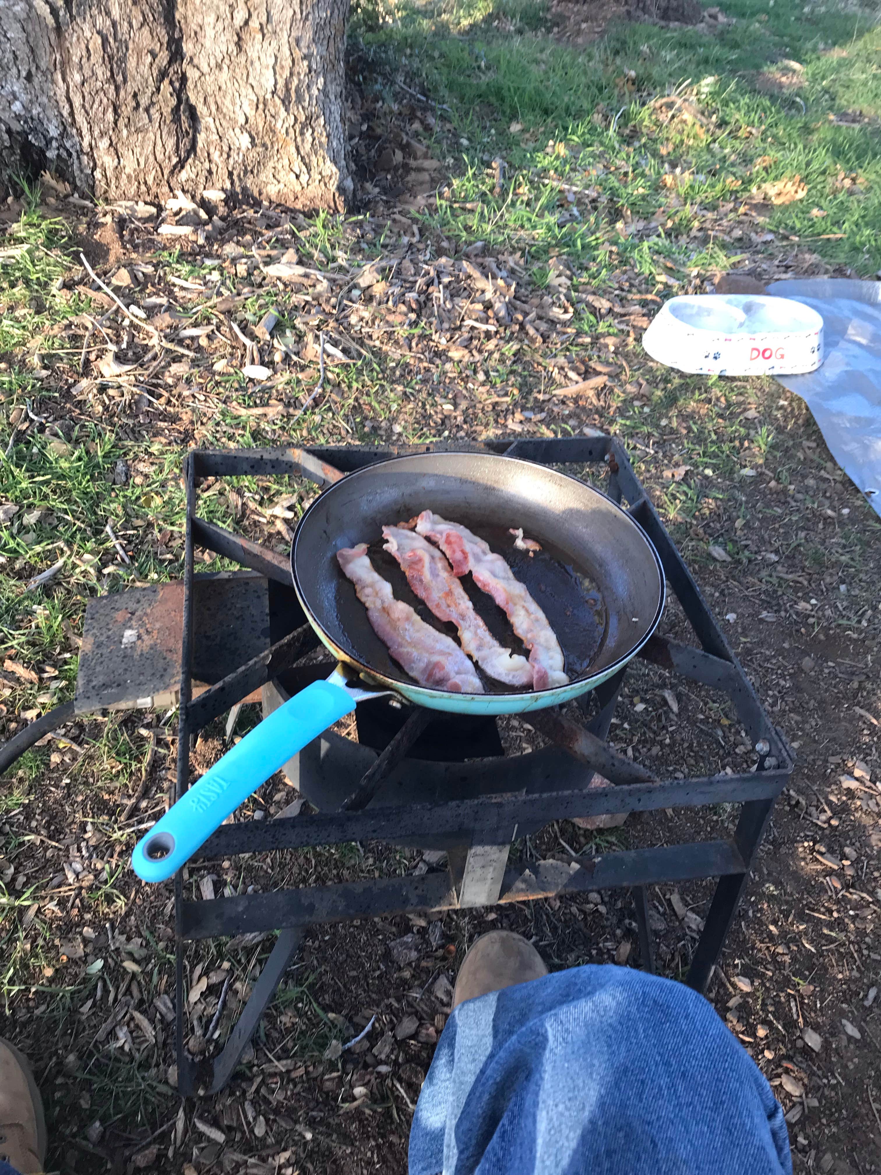 Camper submitted image from Sawmill Campground - 5