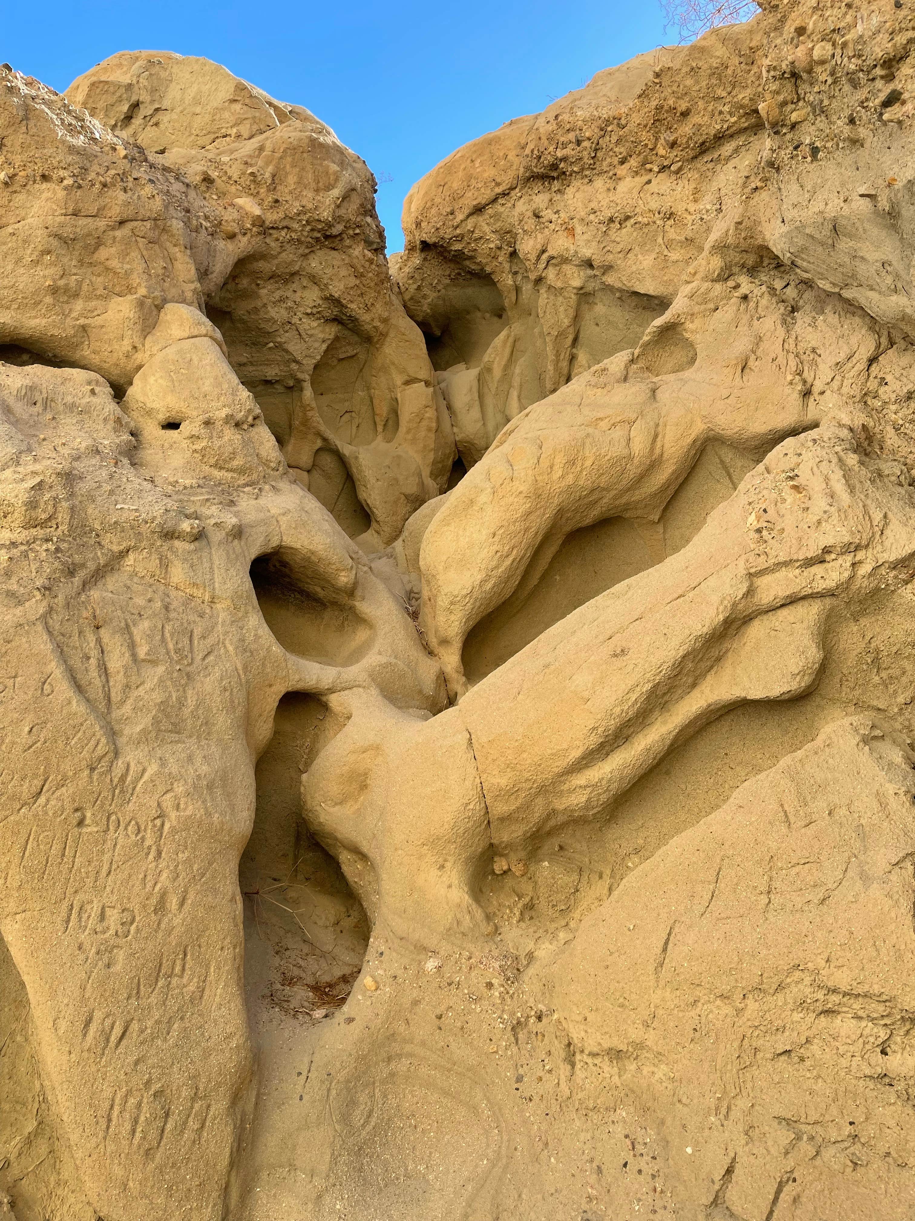 Camper-submitted photo at Box Canyon Dispersed near Bermuda Dunes, CA