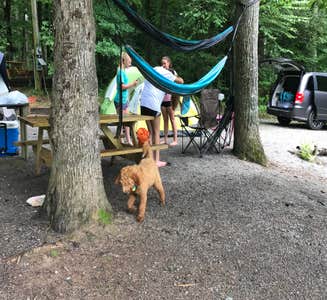 Camper-submitted photo from Orchard Lake Campground