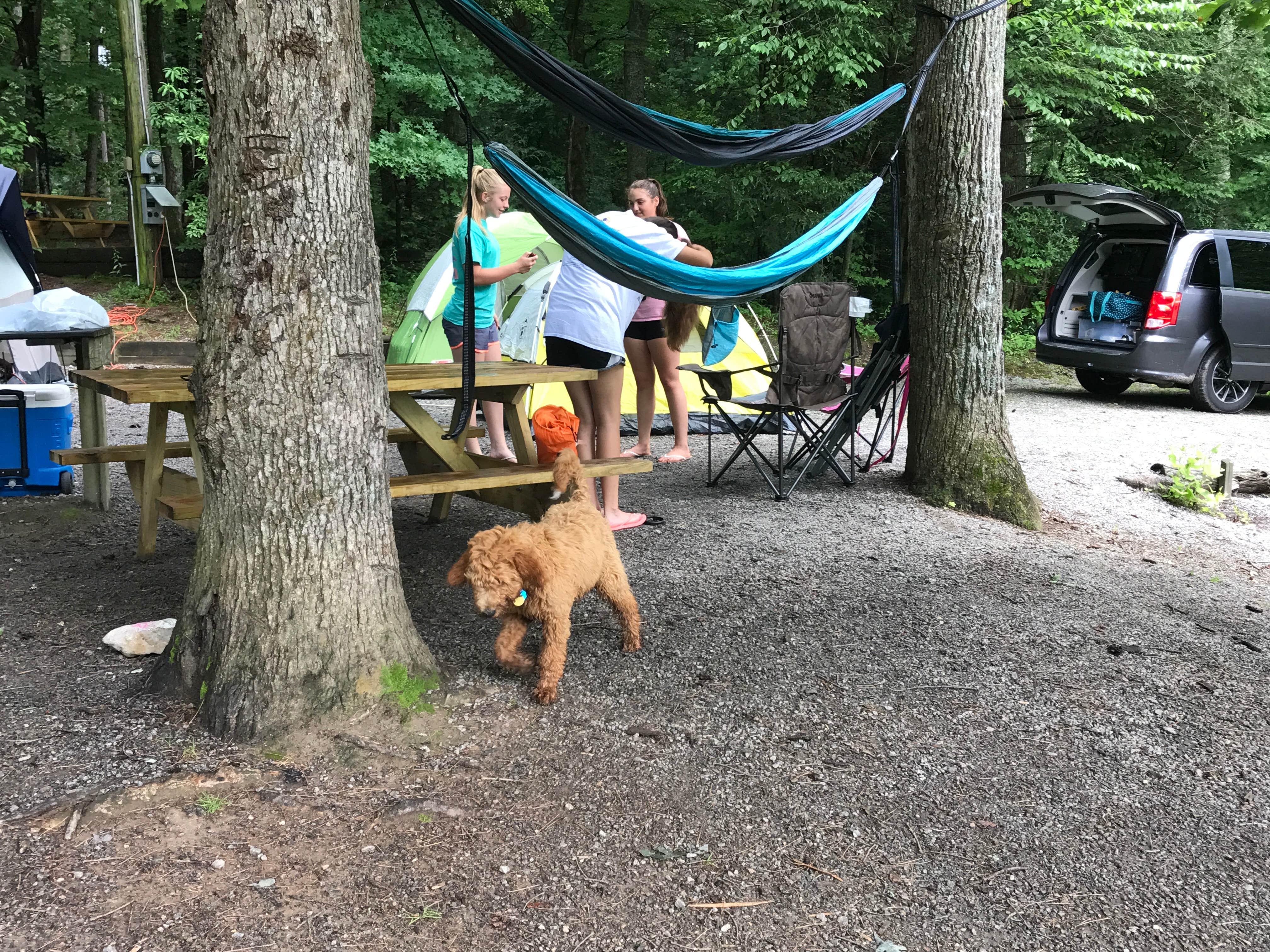 Camper submitted image from Orchard Lake Campground - 3