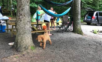 JoAnne M.'s photo of camping with pets at Orchard Lake Campground near Pauline, SC