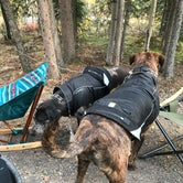 Review photo of Riley Creek Campground — Denali National Park by Vicki S., July 10, 2018