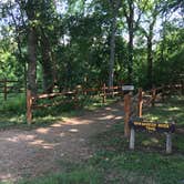 Review photo of Palmetto State Park Campground by Troy W., July 10, 2018