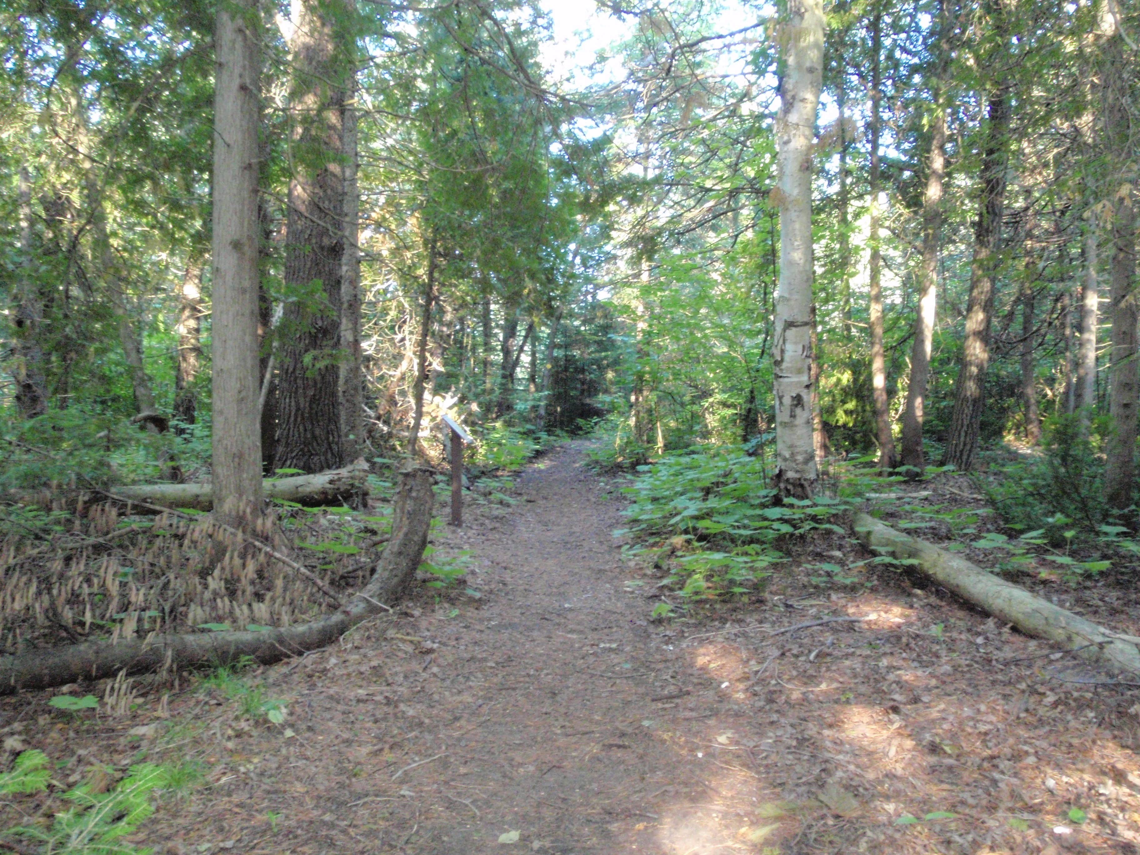 Camper submitted image from Straits State Park Campground - 3