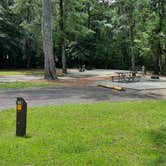 Review photo of COE Walter F George Lake Bluff Creek Campground by Tony C., February 10, 2022