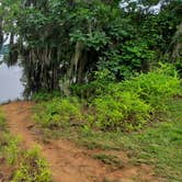 Review photo of COE Walter F George Lake Bluff Creek Campground by Tony C., February 10, 2022