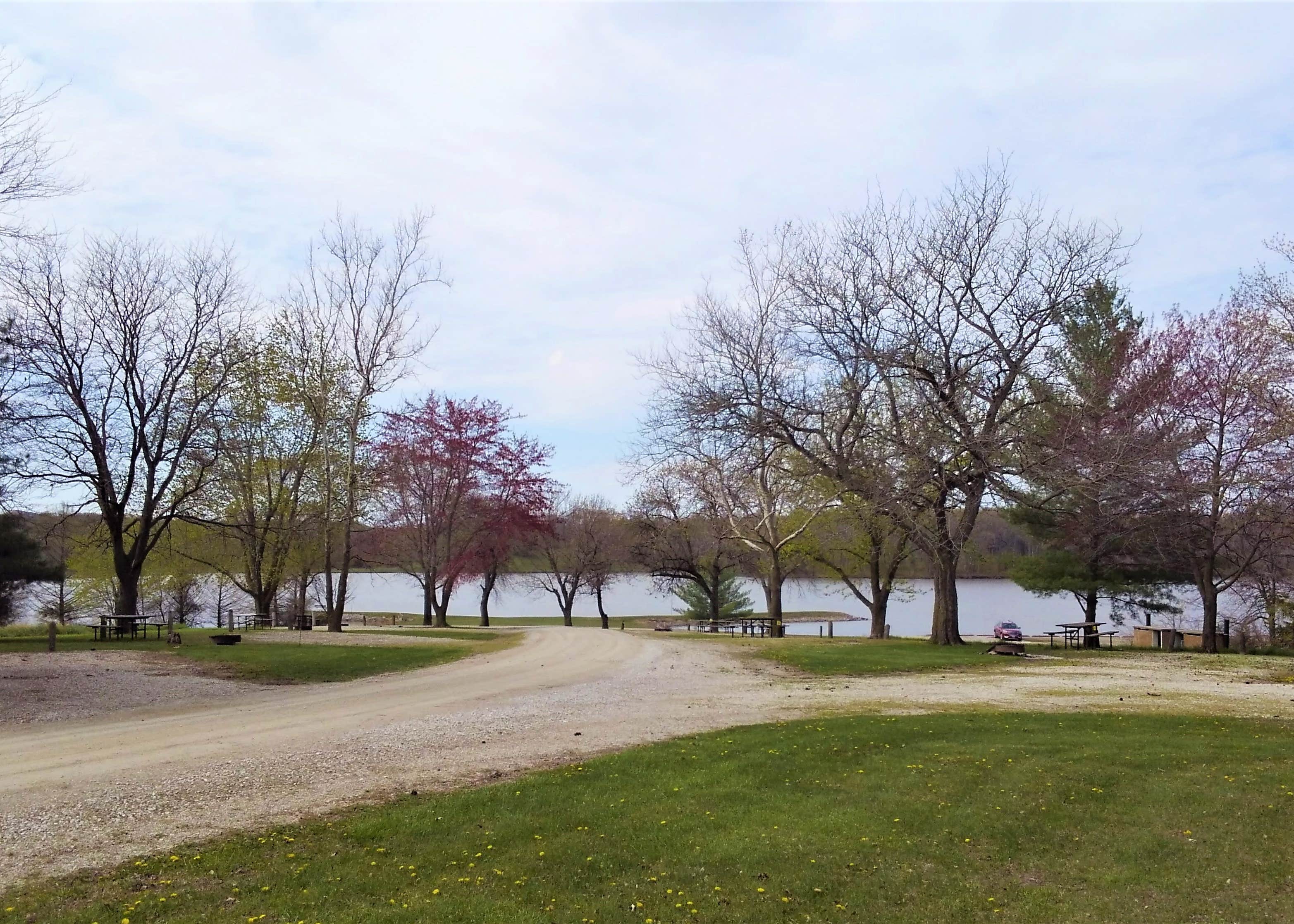 Henry Sever Lake Conservation Area Camping The Dyrt