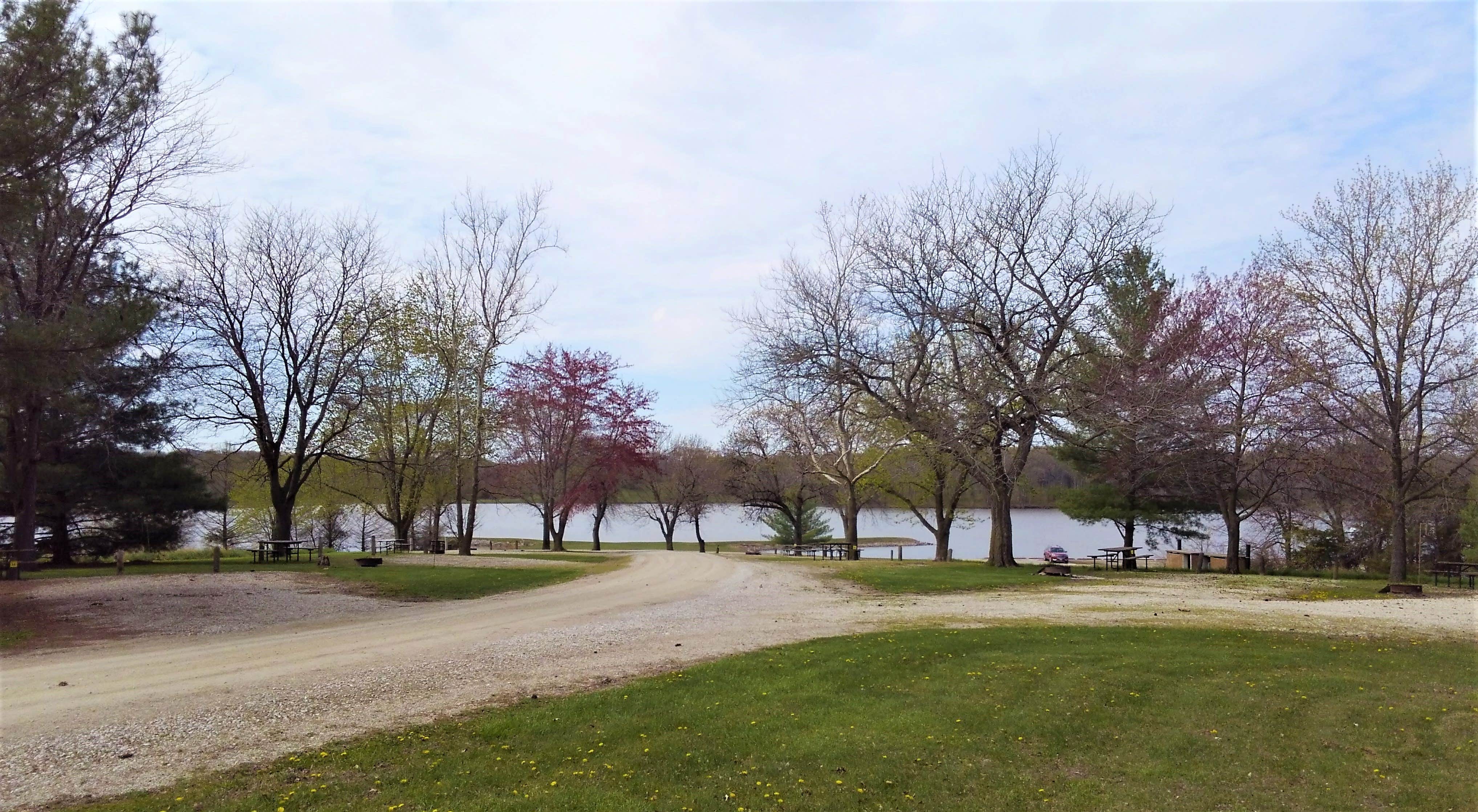 Camper submitted image from Henry Sever Lake Conservation Area - 1