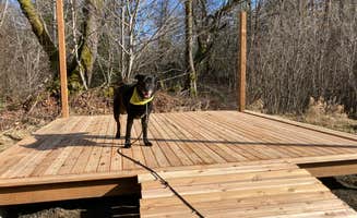 Brandon's photo of camping with pets at Maple Meadow, 7 Acre Private Campsite near Olympia, WA